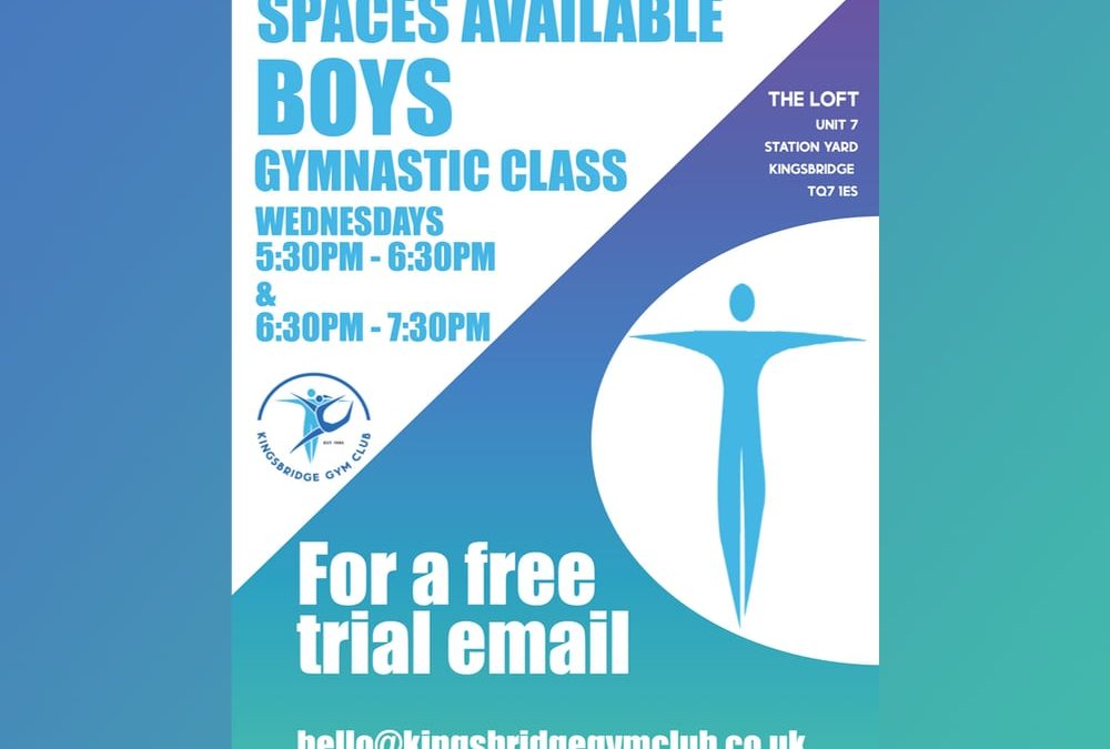 Boys Gymnastic Classes – Spaces Available