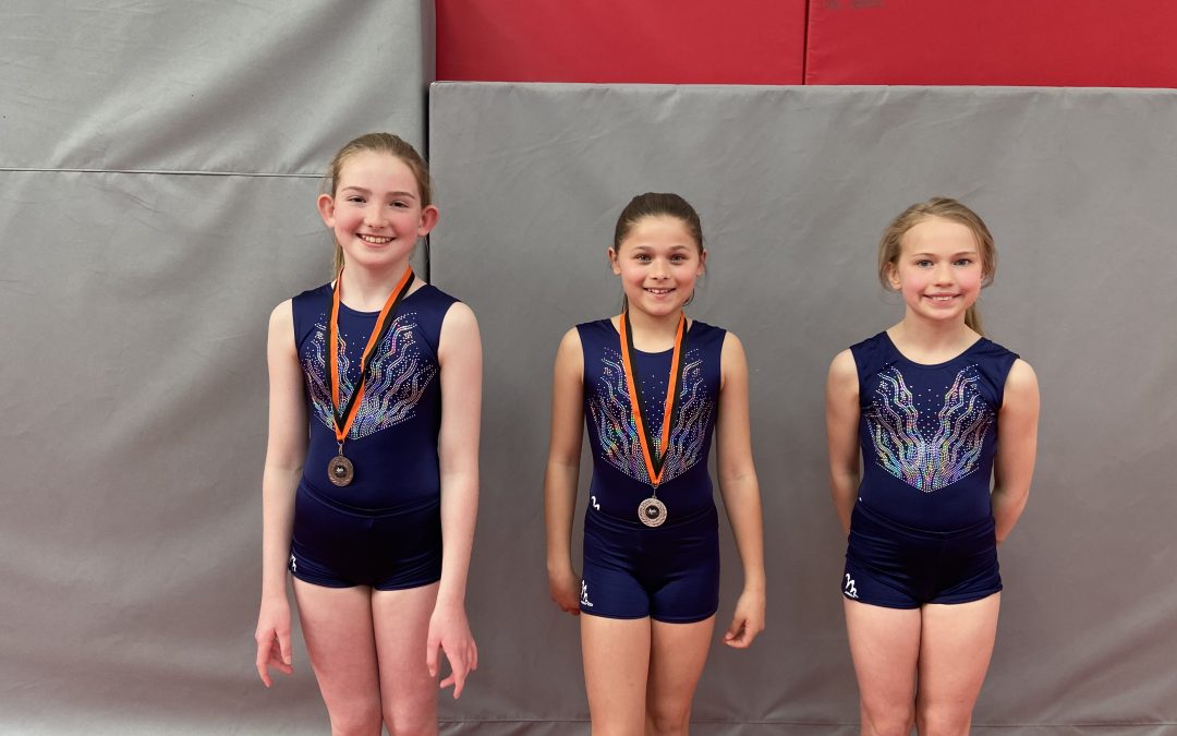 Axis Floor and Vault Competition Sunday 21st April