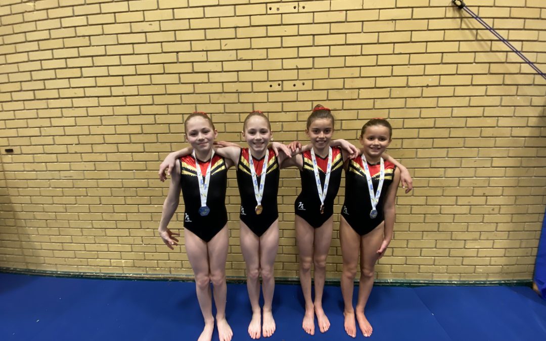 South West Tumbling Competition